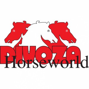 Divoza-Logo-FC  